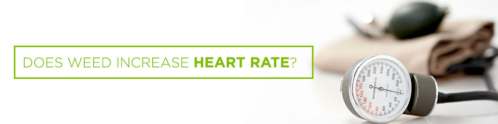 does weed increase heart rate