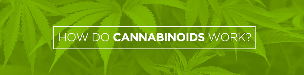 how do cannabinoids work