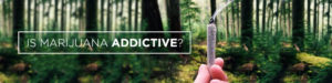 is marijuana addictive