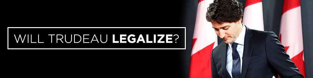 Will Trudeau Legalize Weed