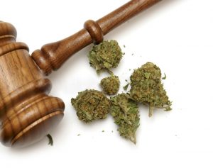 Marijuana and Gavel