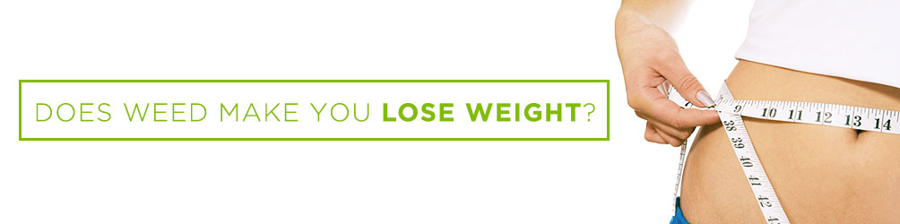 does weed make you lose weight