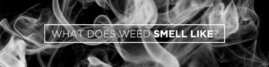 what does weed smell like