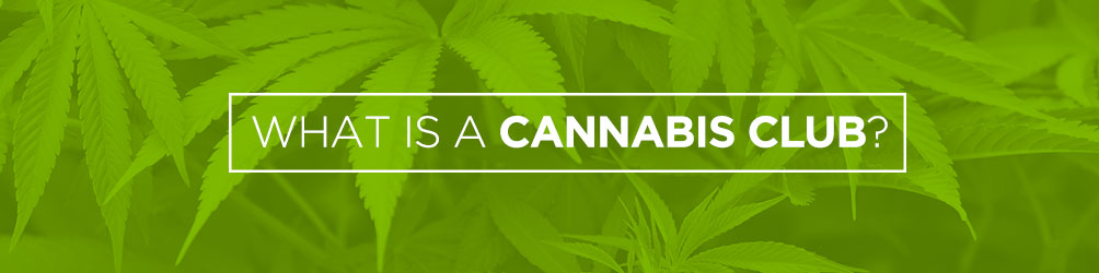 what is a cannabis club