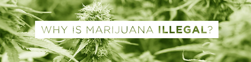 Why is Marijuana Illegal