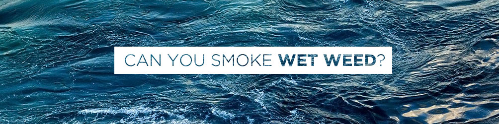 can you smoke wet weed