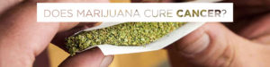 does marijuana cure cancer