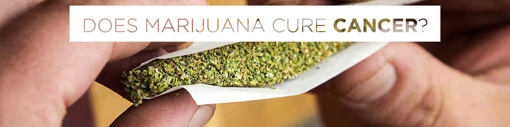 does marijuana cure cancer