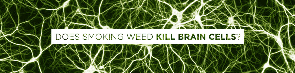 does smoking weed kill brain cells