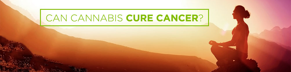 Can cannabis cure cancer?